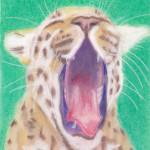 CatinPastels